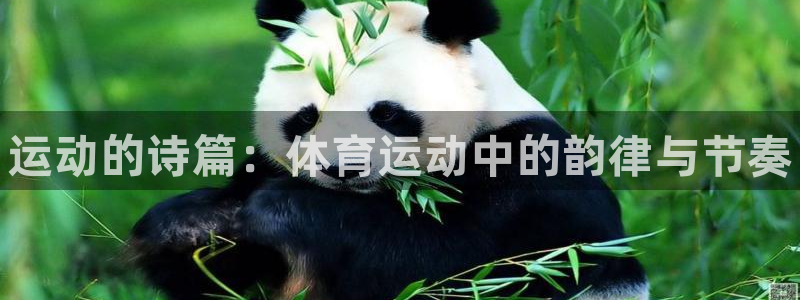 oety欧亿体育官网下载:运动的诗篇:体育运动中的韵律与节奏