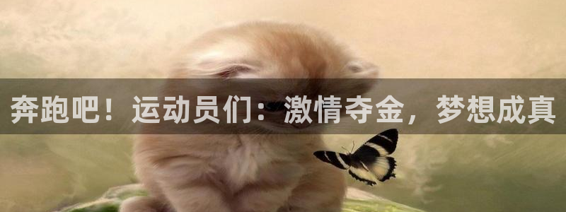 海南oety欧亿体育官网下载:奔跑吧!运动员们:激情夺金,梦