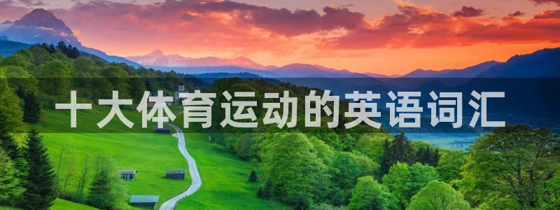 oety欧亿体育官网下载平台注册要钱吗安全吗:十大体育运动的